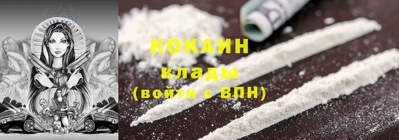 Cocaine Fish Scale  mega зеркало  Партизанск 